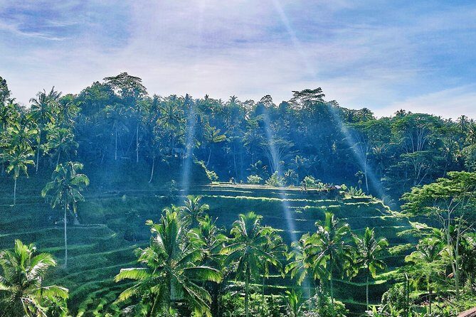 Best of Ubud - Full day Tour + FREE WI-FI - Tegenungan Waterfall: a fast start to the day