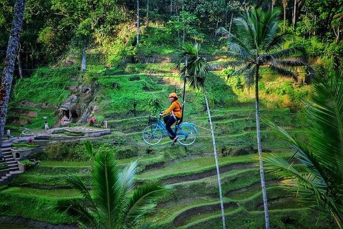Best of Ubud - Full day Tour + FREE WI-FI - Barong Dance & Fire Dance: mythology in motion (and a real-time segment)