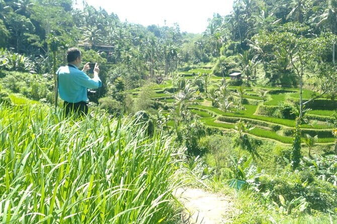 Best Of Ubud Scenic Full Day Private Guided Tour - Key highlights you’ll feel on the day