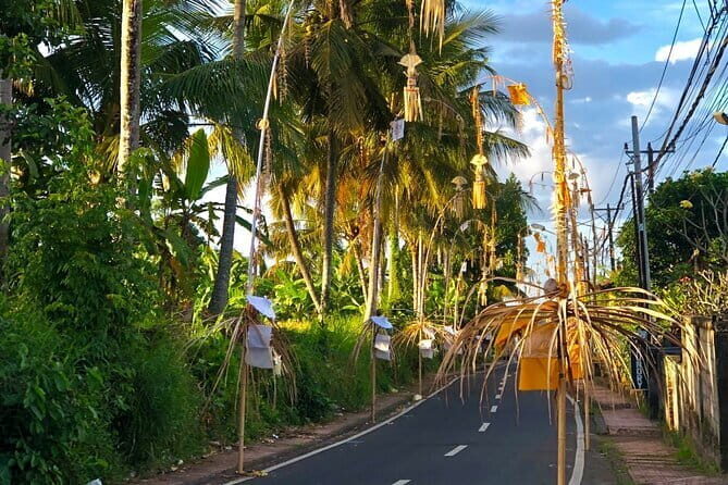Best Of Ubud Scenic Full Day Private Guided Tour - A full-day Ubud loop built for first-timers (starting from Seminyak)