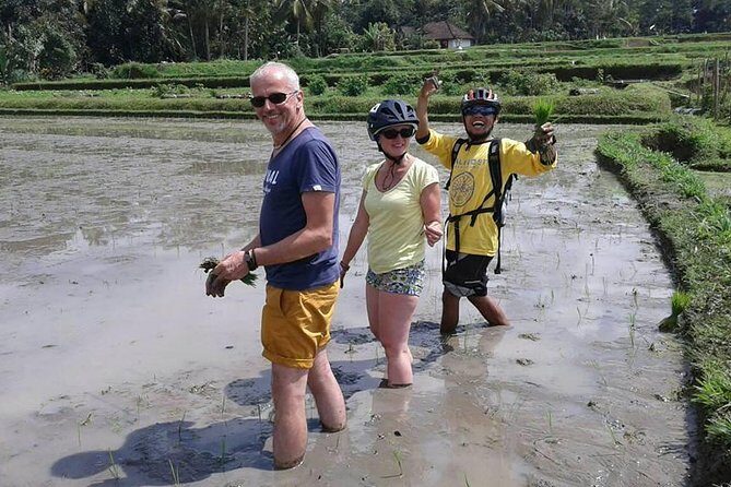 Bike ride in the rice fields, Bali countryside - School Visit Only When School’s Open (And That’s the Point)