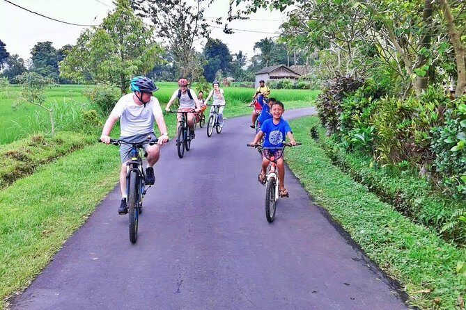 Bike ride in the rice fields, Bali countryside - Difficulty Check: Why This Mostly-Flat Ride Feels Manageable