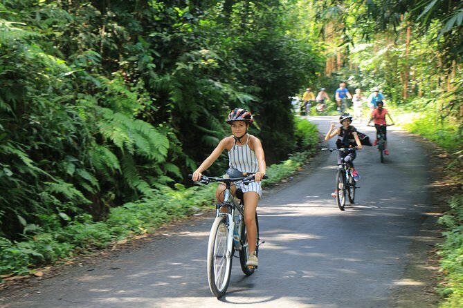 Bike ride in the rice fields, Bali countryside - Pickup From Seminyak and How the Bike Setup Works