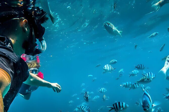 Blue Lagoon Snorkeling - Bali Best Snorkeling Site - Key highlights at a glance