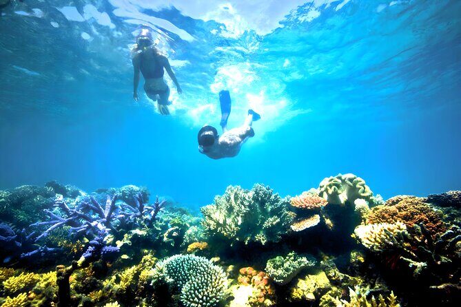 Blue Lagoon Snorkeling - Bali Best Snorkeling Site - Your private instructor: how you learn fast (without blocking your view)