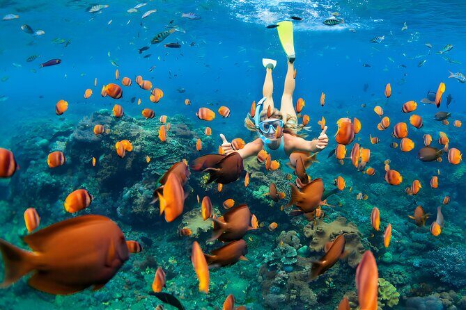 Blue Lagoon Snorkeling - Bali Best Snorkeling Site - Gear and comfort: mask, fins, life jacket plus rinse and reset