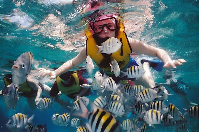 Blue Lagoon Snorkeling - Bali Best Snorkeling Site - What you’ll likely see under the surface (and how to spot it)