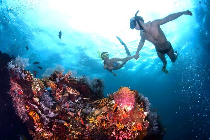 Blue Lagoon Snorkeling - Bali Best Snorkeling Site - Getting there from Seminyak, Ubud, and south Bali: transfers that save energy