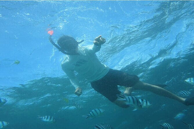 Blue Lagoon Snorkeling with Lunch and Private Transport - Seminyak Blue Lagoon, minus the crowd drama