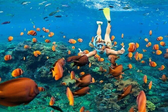 Blue Lagoon Snorkeling with Lunch and Private Transport - Lunch on this 2-hour plan: fuel for snorkeling, not a delay