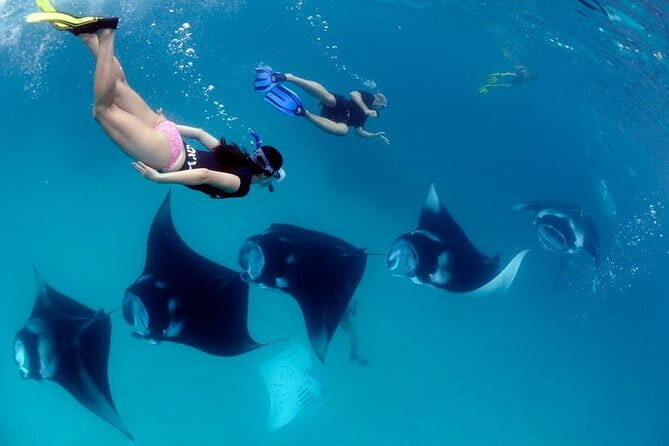 Blue Lagoon Snorkeling with Lunch and Private Transport - Snorkeling gear included, scuba left out