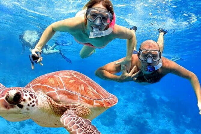Blue Lagoon Snorkeling with Lunch and Private Transport - Price and value: what you’re really paying for