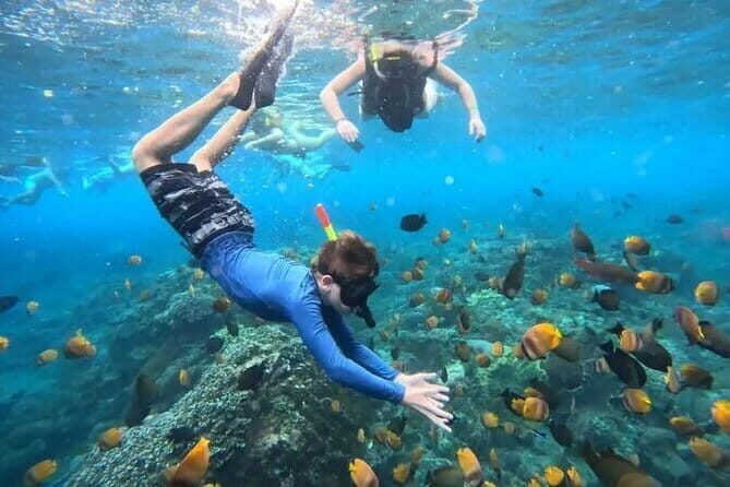 Blue Lagoon Snorkeling with Lunch and Waterfall in Ubud - Key things I’d circle before you book