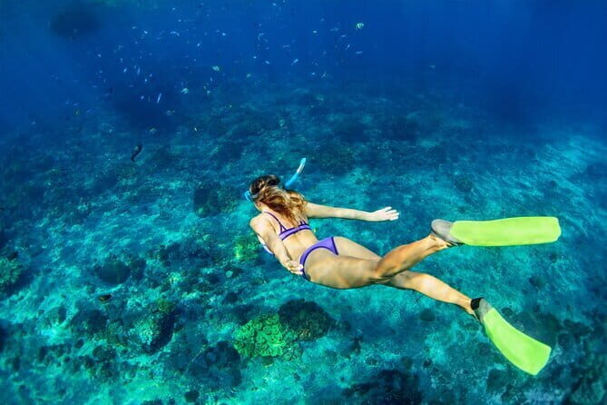Blue Lagoon Snorkeling with Lunch and Waterfall in Ubud - Food, showers, and the salty reset moment