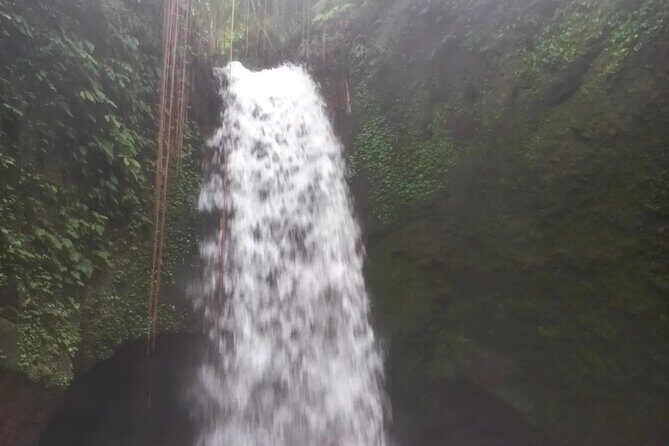 CRETYA Ubud infinity Pool + Hidden Water fall + Water Temple Tour - Oka Agro Wisata: lunch plus coffee and herbal tea tasting