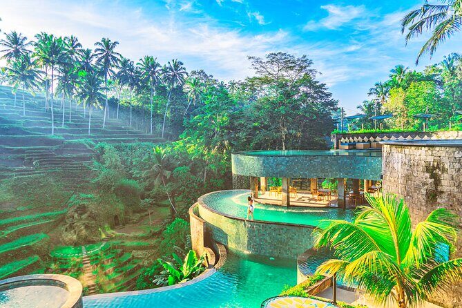 Cretya Ubud Tours - Private Ubud day from Seminyak: price, timing, and what you’re really buying