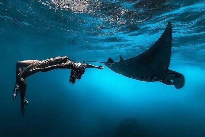 Day Trip: Nusa Penida Snorkling - Why Nusa Penida Beats a Typical Bali Day Tour