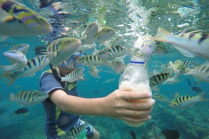 Day Trip: Nusa Penida Snorkling - Price and Value: What $79.06 Really Covers