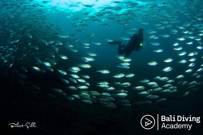 Day Trip Snorkeling in Tulamben - Explore Liberty Wreck (pick up in South Bali) - From Seminyak to Tulamben: the early start that shapes the day