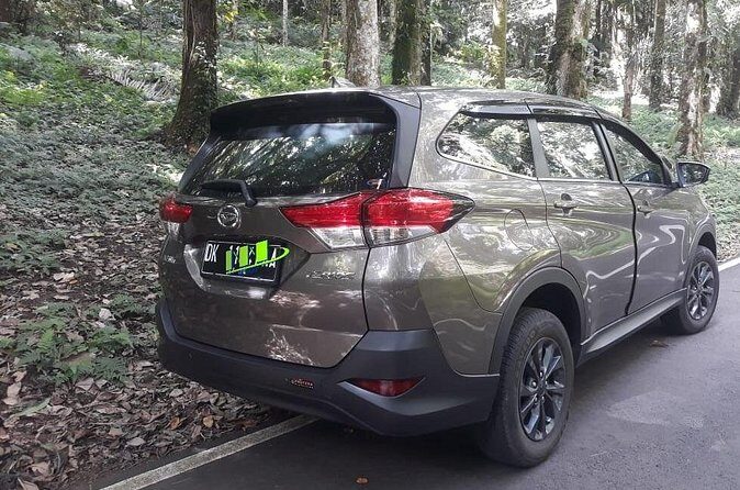 Departure Transfer from Seminyak, Kerobokan to Bali Airport (DPS) - Luggage rules, surfboards, and why they mention extra charges