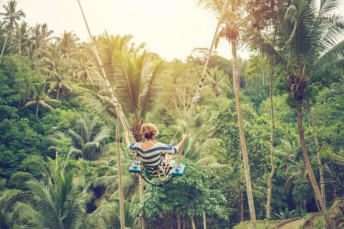Discover Ubud: 2 Days Ubud Private Tour - Day 2: Waterfalls that actually change the mood