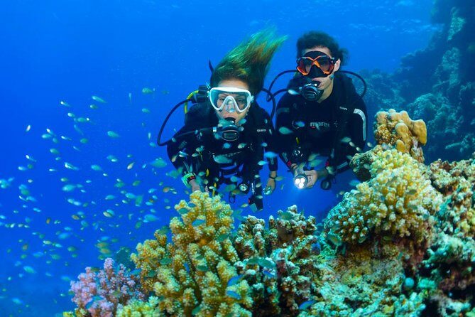 Dive at Tulamben Bali USS Liberty Ship Wreck - Two underwater sessions: why doing it twice pays off