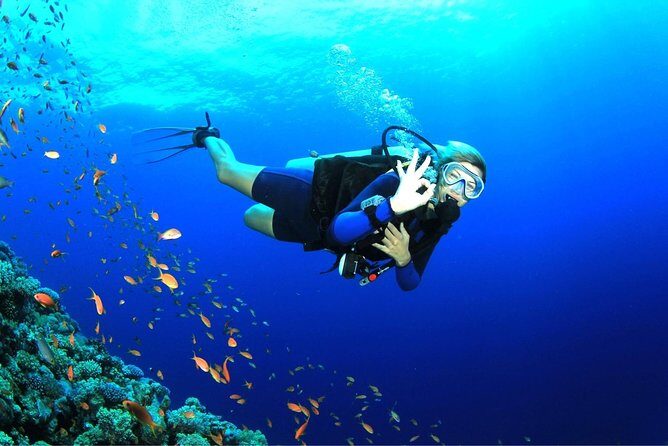 Dive at Tulamben Bali USS Liberty Ship Wreck - What you pay extra for: GoPro rentals and alcohol