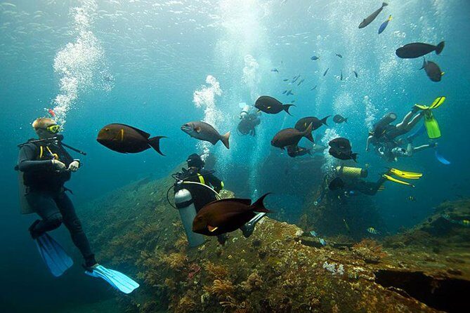 Dive at Tulamben Bali USS Liberty Ship Wreck - Local transport and a guide who knows the best spots