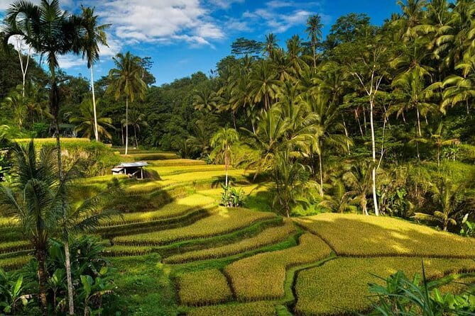 Exploring Bali in 3 Days: Discover Top Places in Bali - Key highlights worth noting