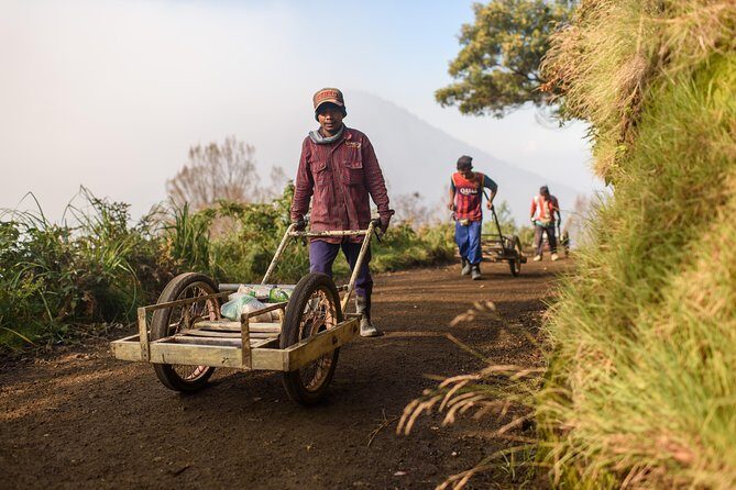 From Bali : Bromo & Kawah Ijen – 3-Day Adventure - The Guides and Team Energy: What People Actually Remember