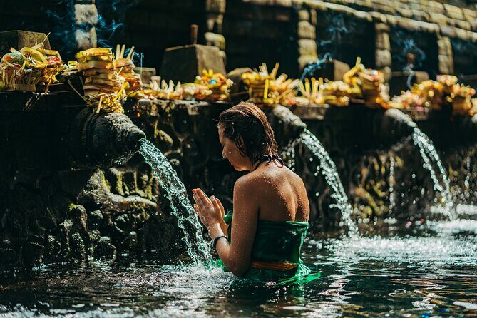 Full Day Best of Ubud Private Tour - Key Highlights to Know Before You Go
