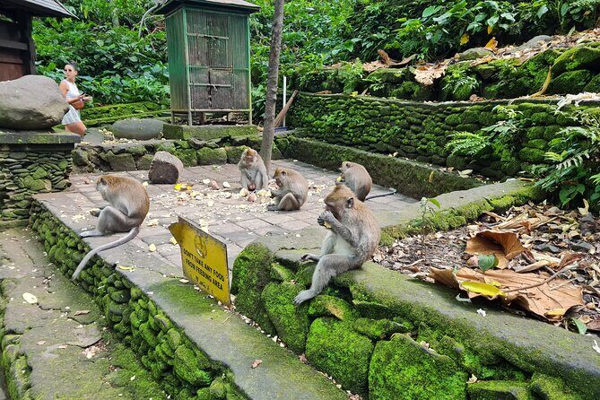 Full Day Best of Ubud Private Tour - Celuk Art Village: Silver Craft You Can Watch in Action