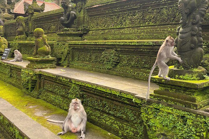 Full Day Best of Ubud Private Tour - Tegallalang Rice Terraces: Why They’re Worth the Effort