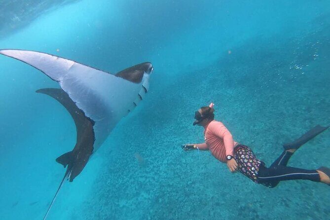 Full Day Nusa Penida Manta Point Snorkeling and West Island Tour - Snorkeling at Manta Point: what to expect and how to make it count