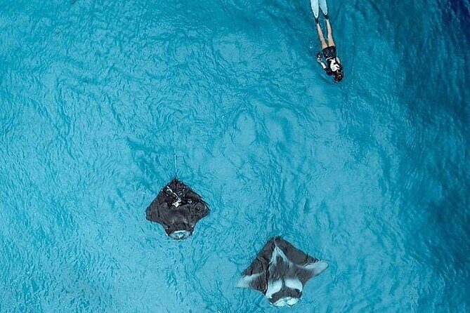 Full Day Nusa Penida Manta Point Snorkeling and West Island Tour - Kelingking Beach viewpoint: the iconic T-Rex shape from above
