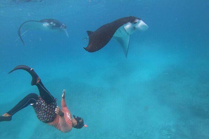 Full Day Nusa Penida Manta Point Snorkeling and West Island Tour - Lunch, towels, and the small stuff that makes a full day easier