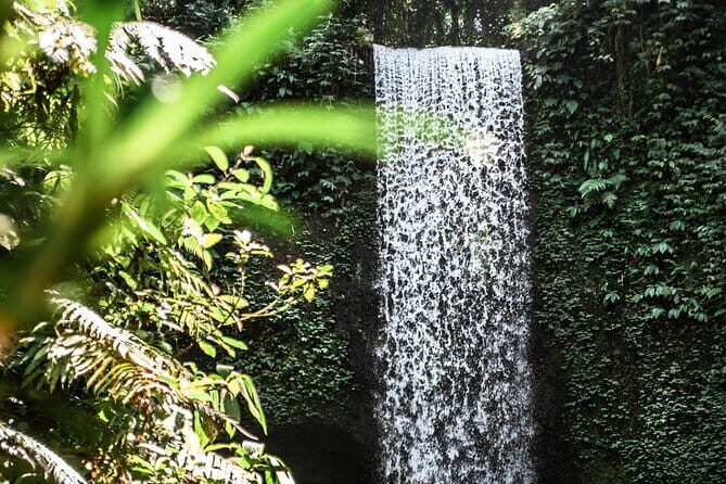 Full Day Private Tour All Inclusive Hidden Gems Bali Waterfall - Price and Value at $60 Per Person