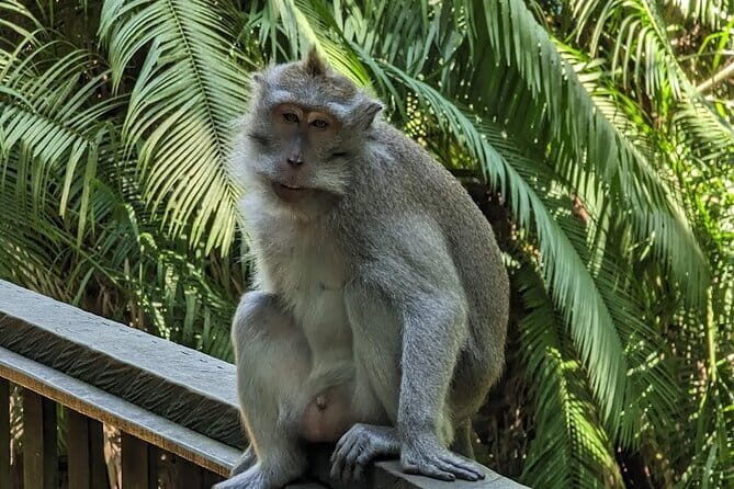 Full Day Private Tour to Ubud Waterfall and Uluwatu Sunset - Price and what you actually get for $90 per person