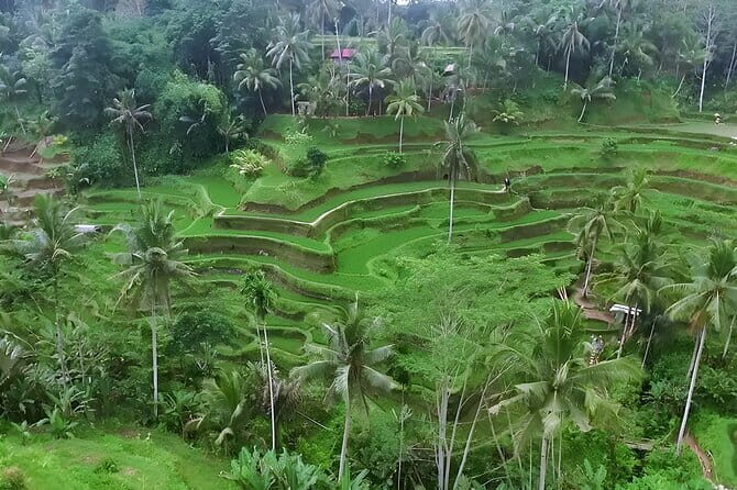 Full Day Private Tour to Ubud Waterfall and Uluwatu Sunset - Tegenungan Waterfall: what makes it special (and what to expect on the steps)