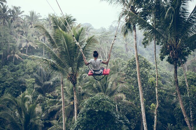 Full day Tour to Best of Ubud with jungle swing - Tegalalang Rice Terraces and the jungle swing: the Instagram stop that’s more than a gimmick
