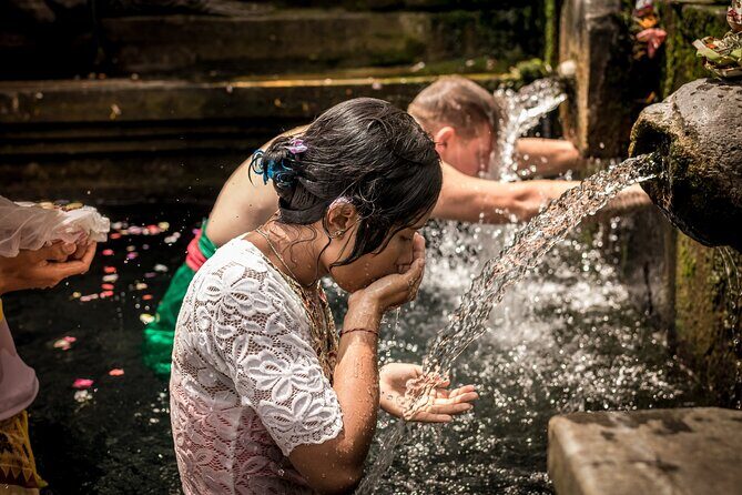 Full day Tour to Best of Ubud with jungle swing - The driver matters: on-time, funny, and organized