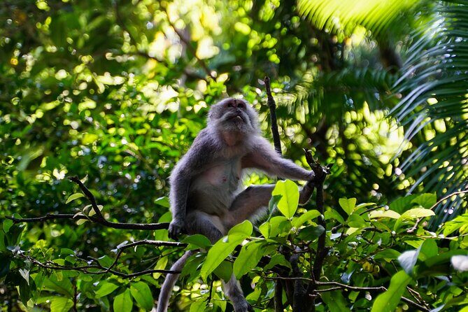 Full Day – Ubud Art Village and Mount Batur Kintamani with Lunch - Kemenuh Wood Carving and Tegenungan Waterfall