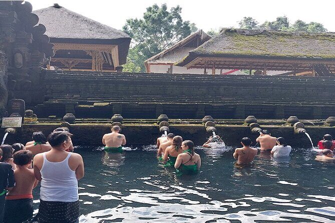 Full Day Ubud Tour - Price and Value: Is $95 a Good Deal?