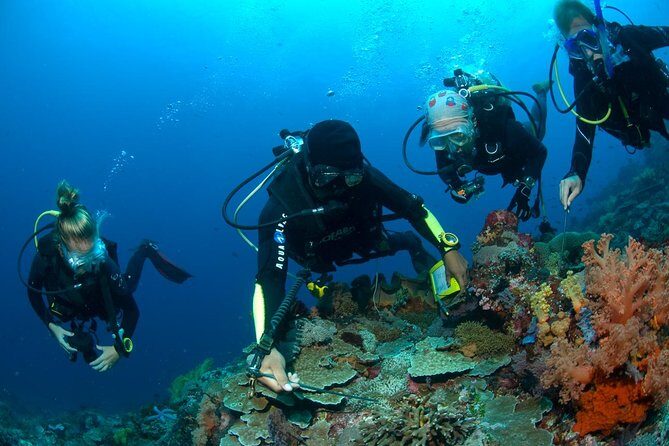 Fun Diving Tulamben Bali - For Certified Divers - USAT Liberty in Tulamben: the WWII wreck that’s actually doable