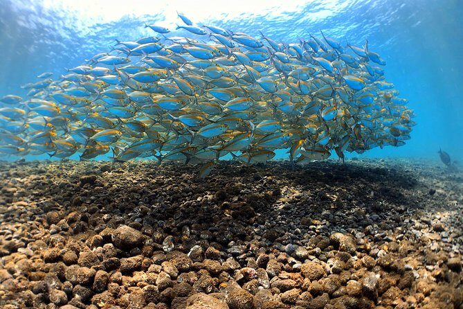 Fun Diving Tulamben Bali - For Certified Divers - Food and small comforts: the stuff that saves the day