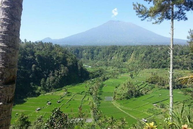 Gate Heaven Lempuyang Tirta Gangga East Bali Private Guided Tour - Stop 4: Goa Lawah Temple, sea-side and sacred