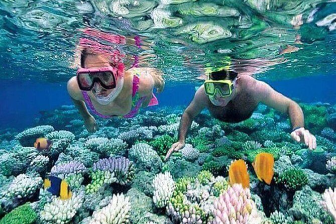 Gate Heaven Tirta Gangga With Snorkeling Private Guided Tour - Why this day pairs snorkeling with Lempuyang’s Gates of Heaven