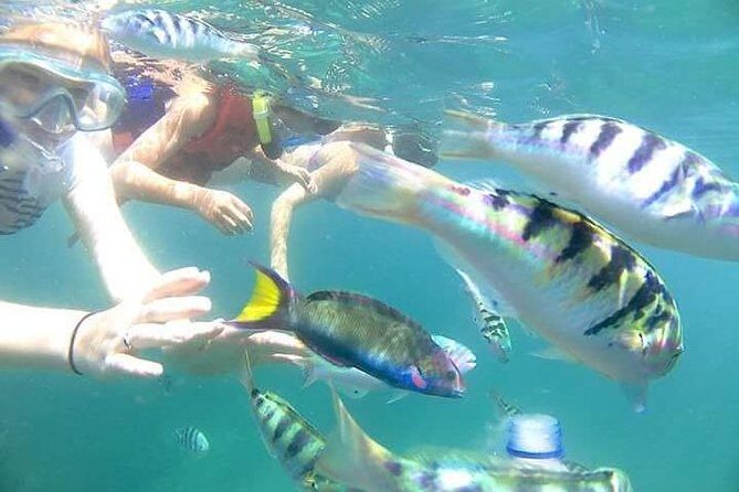 Gate Heaven Tirta Gangga With Snorkeling Private Guided Tour - Blue Lagoon Beach snorkeling: coral views and fish variety