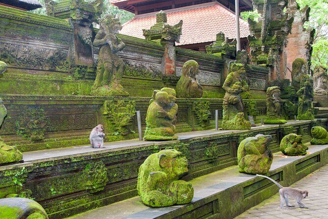 Goa Gajah / Elephant Cave Temple And Ubud Tour - All Inclusive - Tegalalang Rice Terrace: Classic Terraces Plus the Chance to Choose Your Adventure