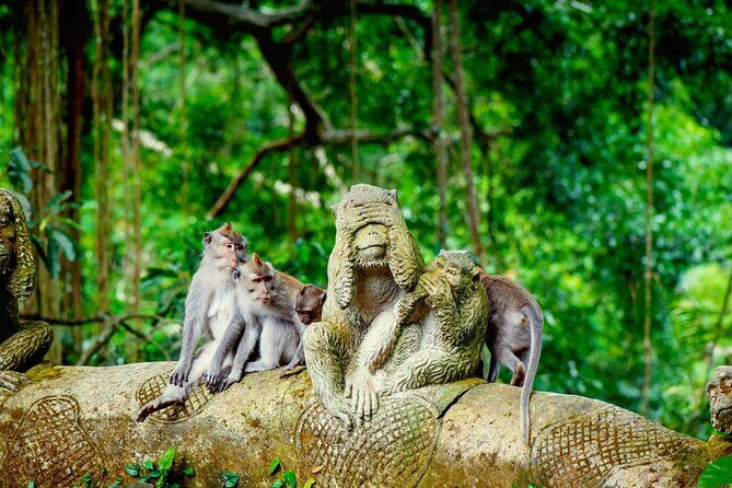 Goa Gajah / Elephant Cave Temple And Ubud Tour - All Inclusive - Goa Gajah Elephant Cave: Carvings, Old Bathing Pools, and a Quiet Start